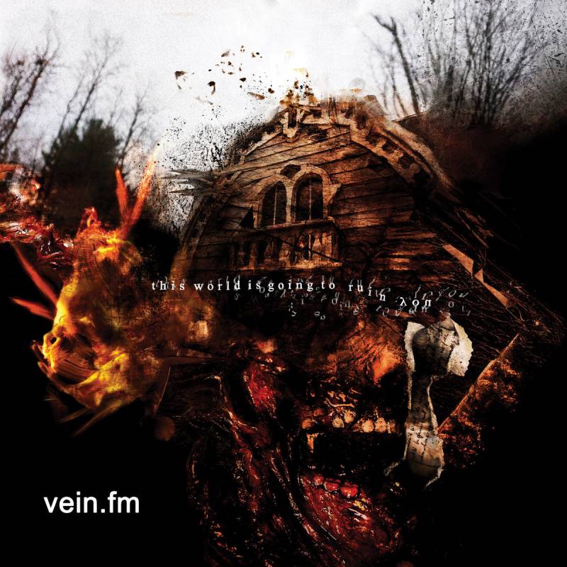 chronique : Vein.fm - This World Is Going To Ruin You chronique Vein.fm - This World Is Going To Ruin You