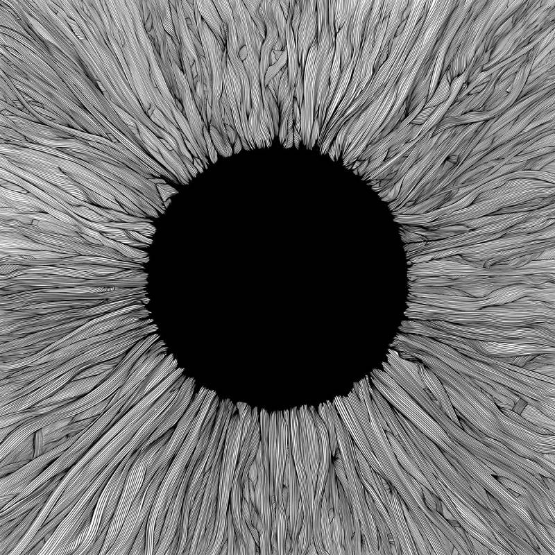 chronique : Vola - Witness chronique Vola - Witness