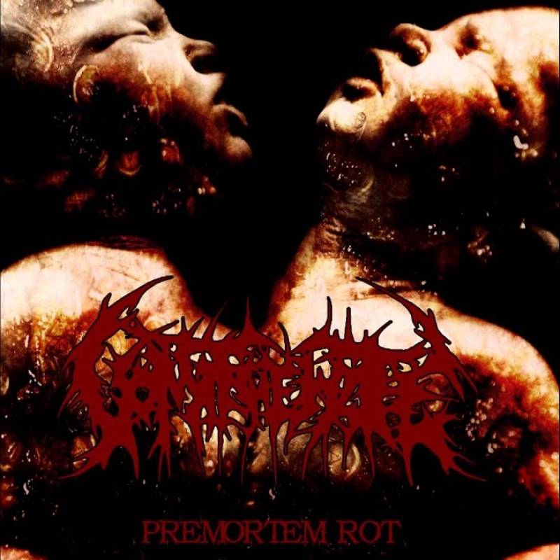 chronique Vomit the Hate - Premortem Rot