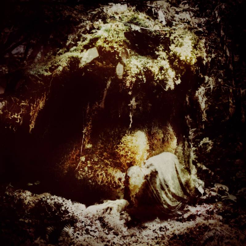 chronique Wolves In The Throne Room - Celestial Lineage