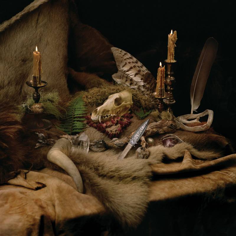 chronique Wolves In The Throne Room - Primordial Arcana