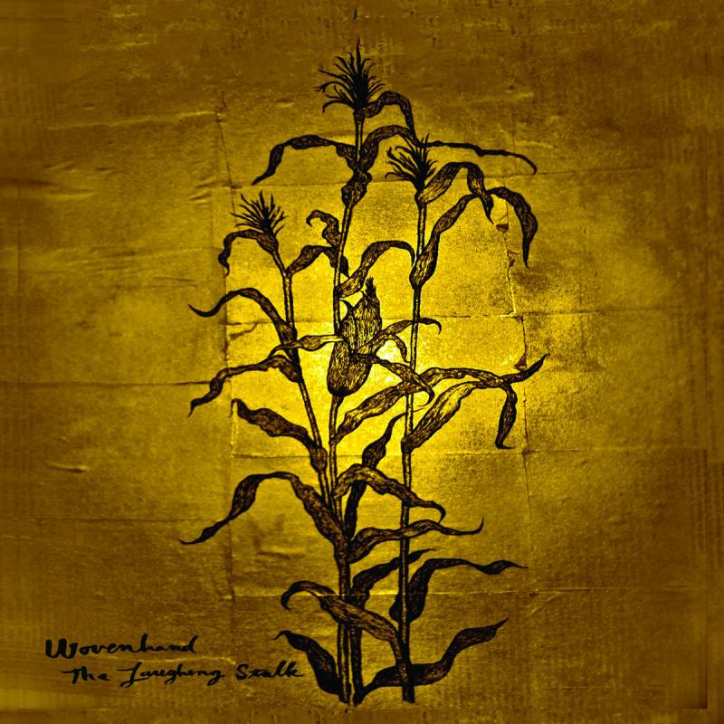 chronique Wovenhand - The Laughing Stalk