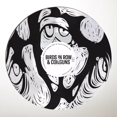 Birds In Row + Coilguns - You and I in the Gap (Chronique)