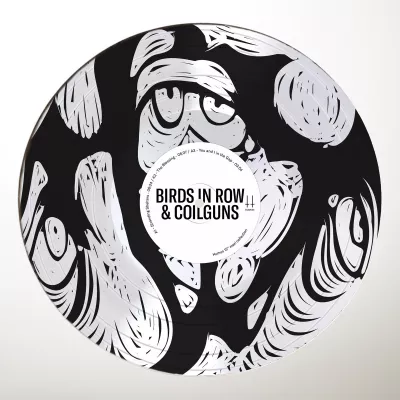 Birds In Row + Coilguns - You and I in the Gap (chronique)