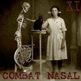 Compilation - Combat Nasal vol.11 (chronique)