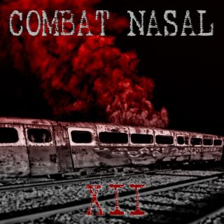 Compilation - Combat Nasal vol.12 (chronique)