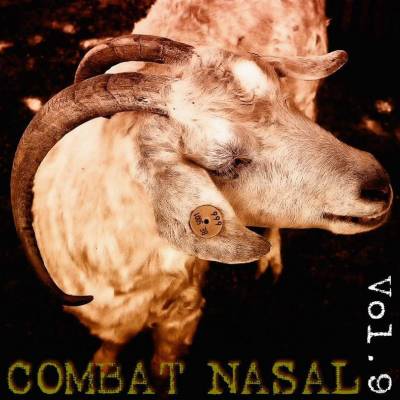 Compilation - Combat Nasal vol.9 (chronique)