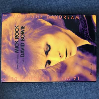David Bowie + Mick Rock - MOONAGE DAYDREAM / LA VIE ET L’ÉPOQUE DE ZIGGY STARDUST (Chronique)