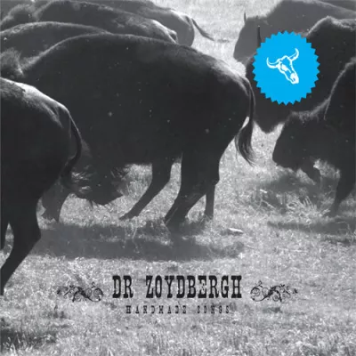 Dr Zoydbergh - Handmade Songs