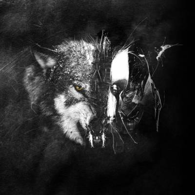 Dust-theority - Wolves