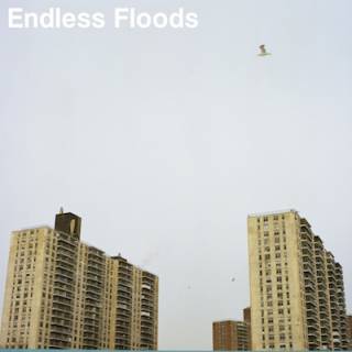 Endless Floods - II (chronique)