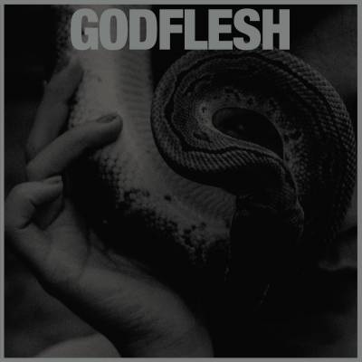 Godflesh - PURGE