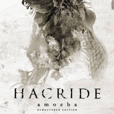 Hacride - Amoeba