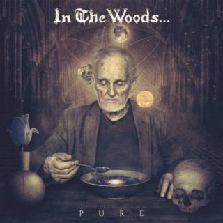 In The Woods... - Pure (Chronique)