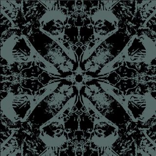 Insidious Process - Mirrors Of The Dead