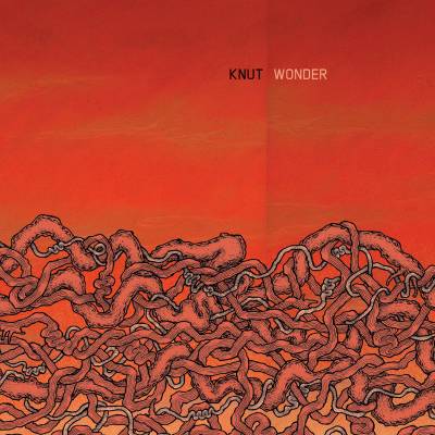 Knut - Wonder