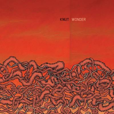 Knut - Wonder