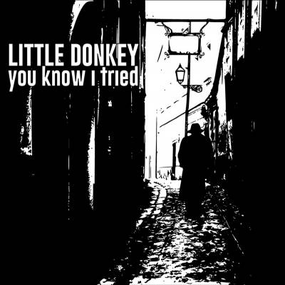 Little Donkey - You Know I Tried