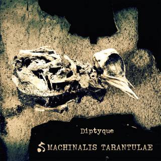 Machinalis Tarantulae - Dyptique (chronique)