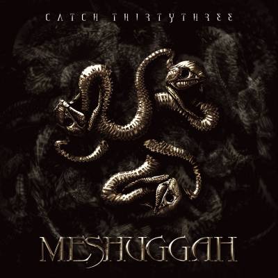 Meshuggah - Catch 33