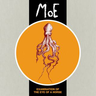 Moe - Examination Of The Eye Of A Horse (chronique)