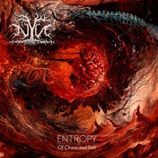 Nyn - Entropy: Of Chaos and Salt (chronique)