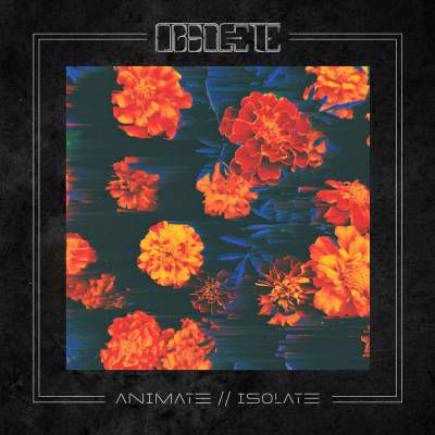 Obsolete - Animate//Isolate