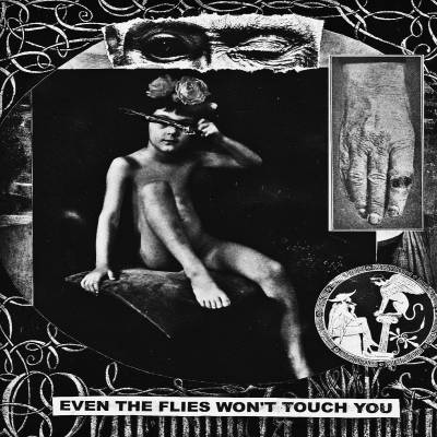 Rectal Hygienics - Even the Flies Won't Touch You (chronique)