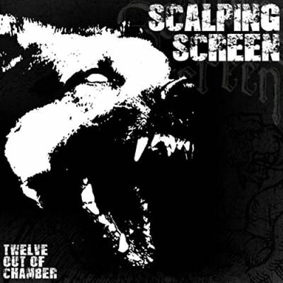 Scalping Screen - Twelve out of chamber