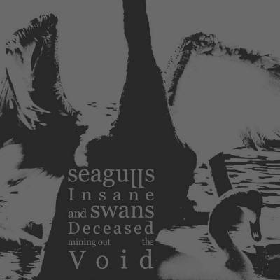 Seagulls Insane And Swans Deceased Mining Out The Void - Seagulls Insane And Swans Deceased Mining Out The Void