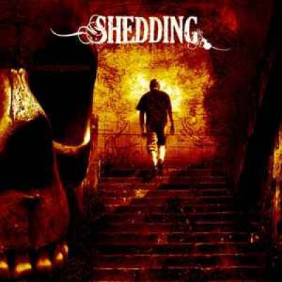 Shedding - Introspection