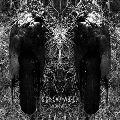 Sick Sad World - Imago clipeata (chronique)