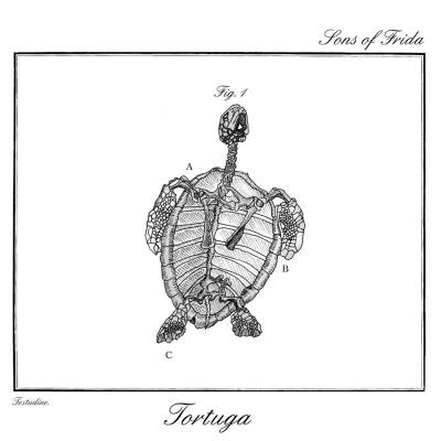 Sons of frida - Tortuga (chronique)