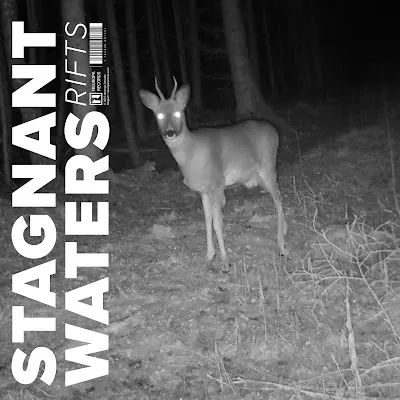 Stagnant Waters - Rifts