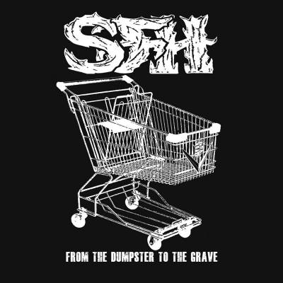 Star Fucking Hipsters - From the Dumpster to the Grave (chronique)