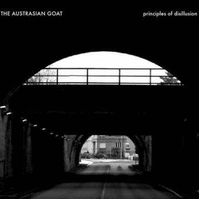 The Austrasian Goat - Principles of Disillusion (chronique)