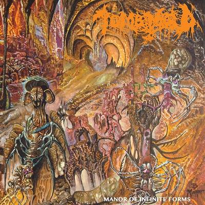 Tomb Mold - Manor of Infinite Forms (chronique)