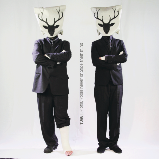 Torv - If Only fools never change their Mind (chronique)