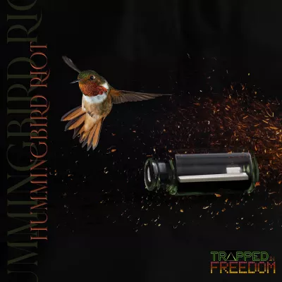 Trapped In Freedom - Hummingbird Riot