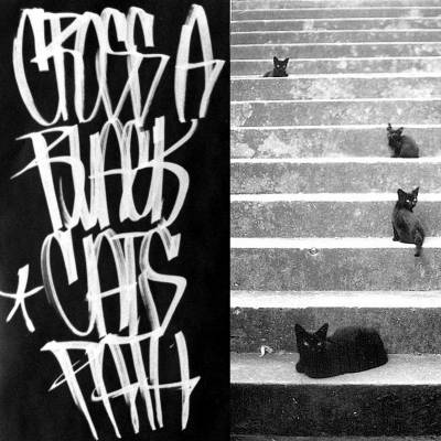 Wrong Answer - Cross A Black Cat's Path