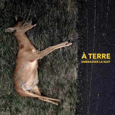 À Terre - EMBRASSER LA NUIT