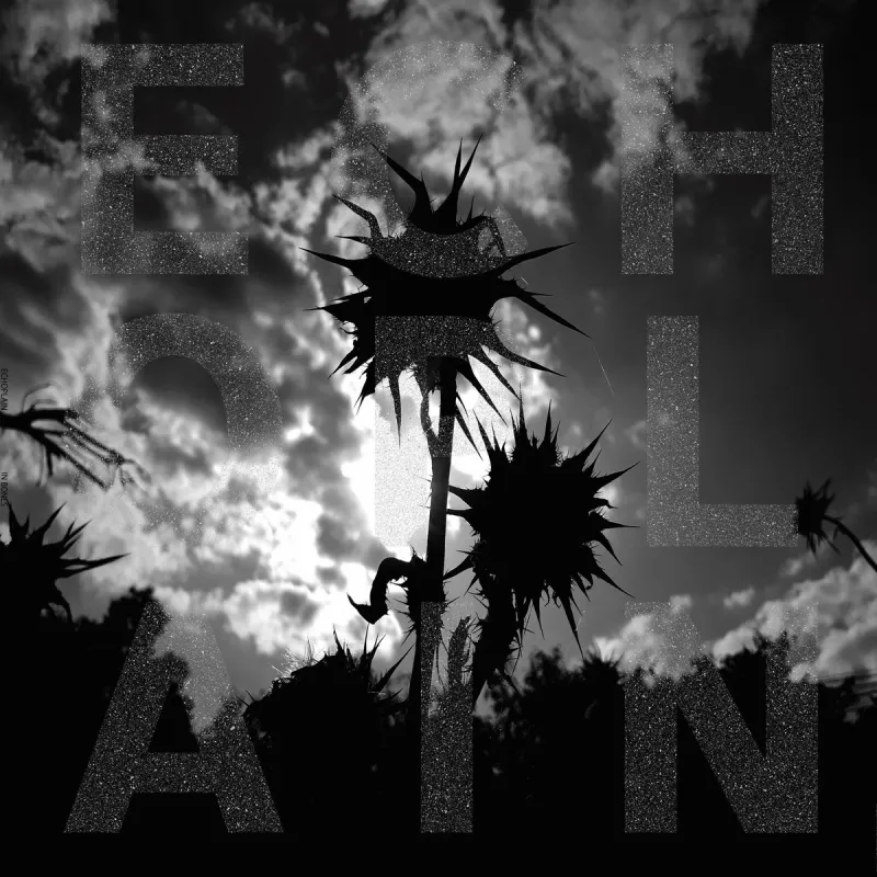 chronique : Echoplain - In Bones chronique Echoplain - In Bones