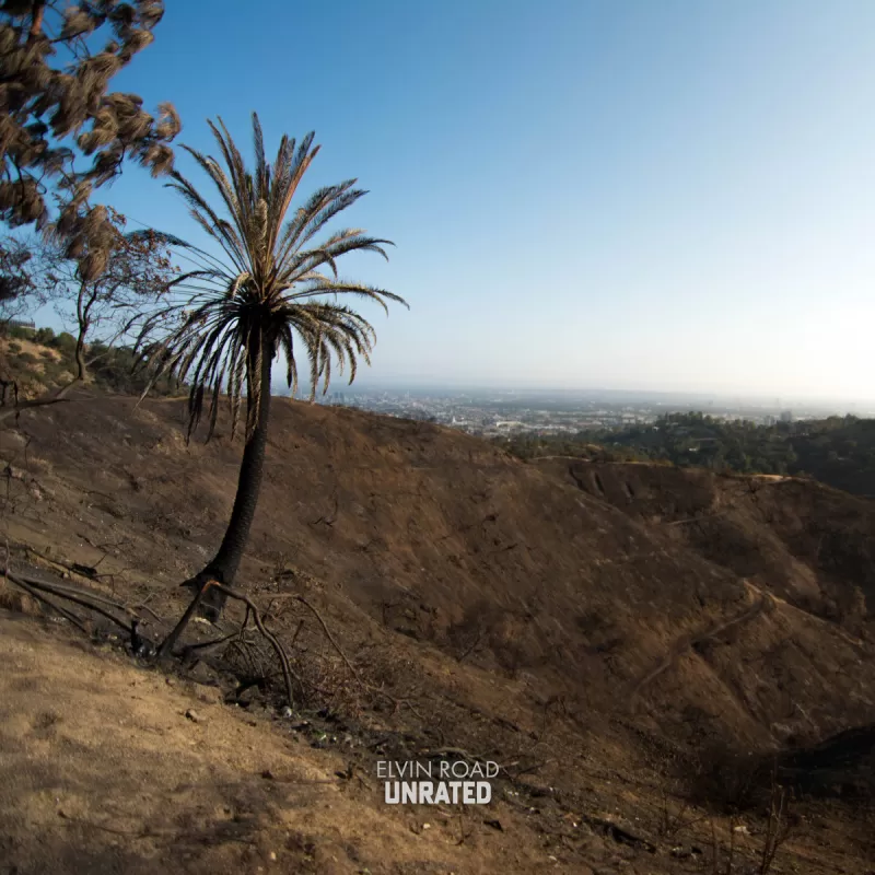 chronique Elvin Road - UNRATED