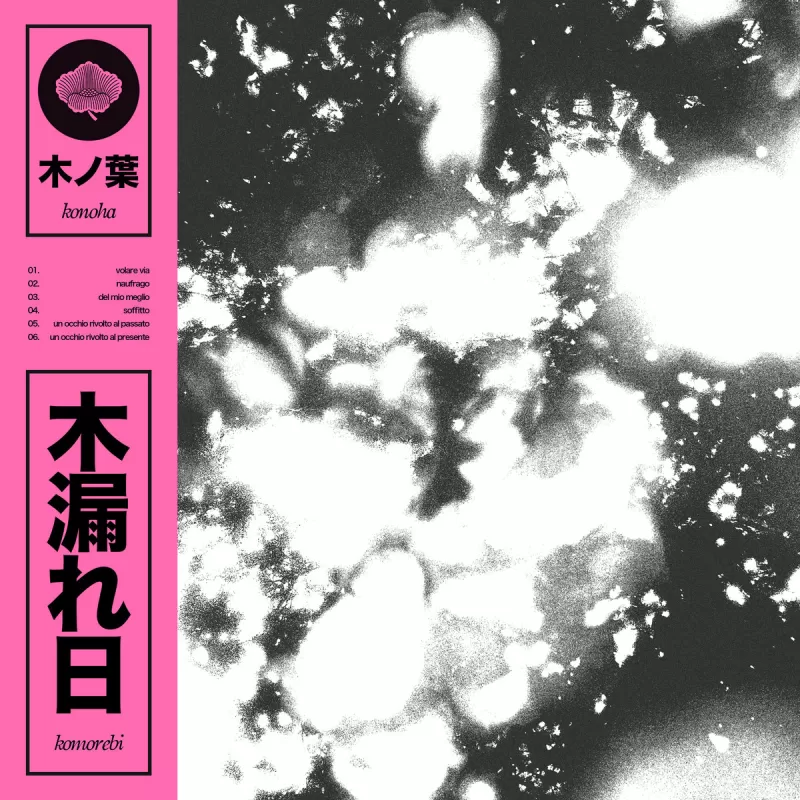 chronique Konoha 木ノ葉 - komorebi
