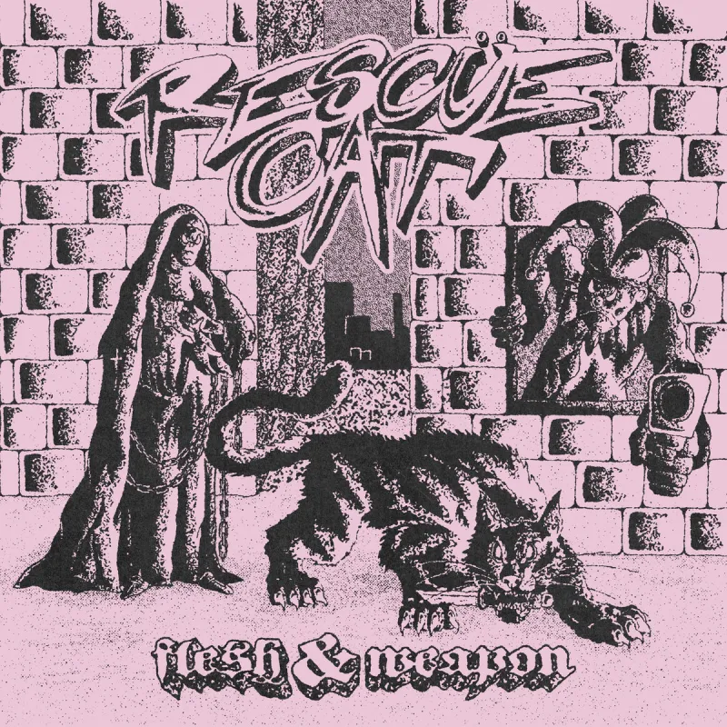chronique : Rescüe Cat - Flesh & Weapon chronique Rescüe Cat - Flesh & Weapon