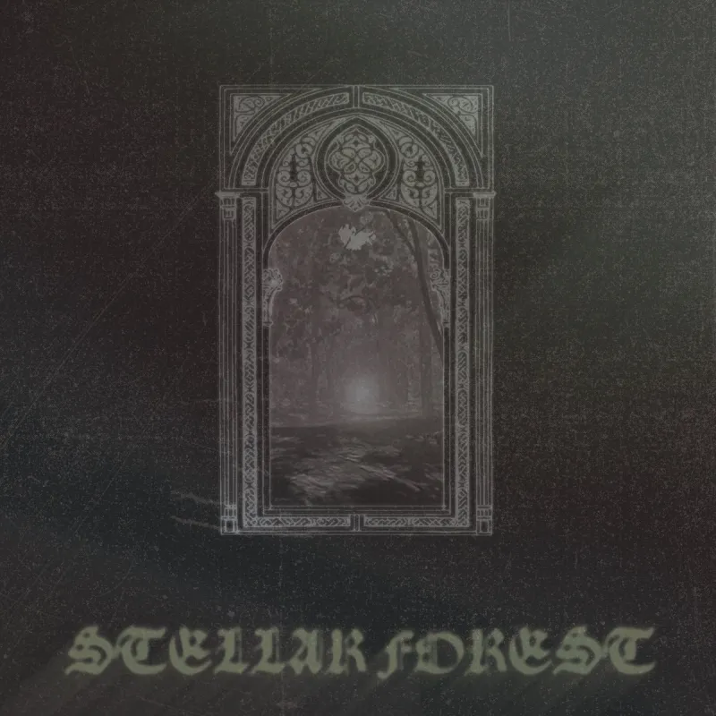 chronique : Stellar Forest - Stellar Forest chronique Stellar Forest - Stellar Forest