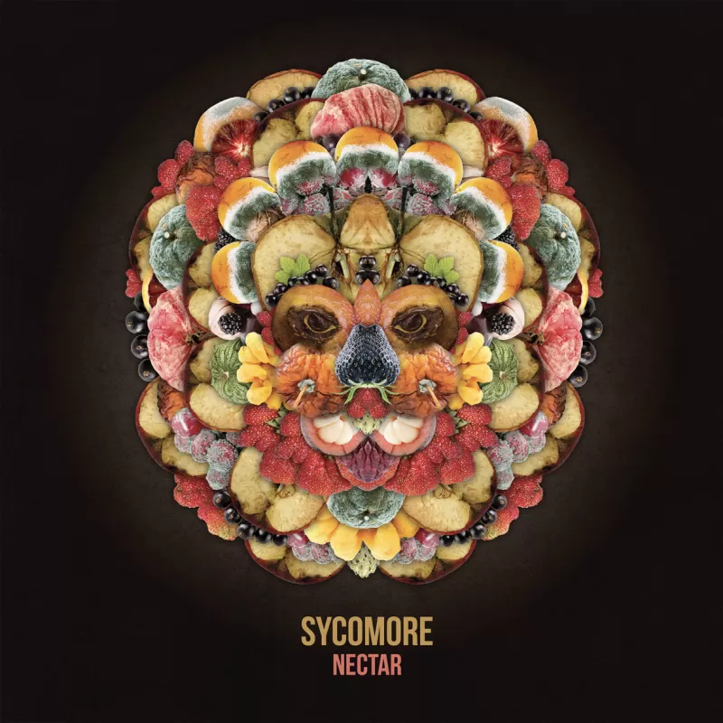 chronique Sycomore - Nectar