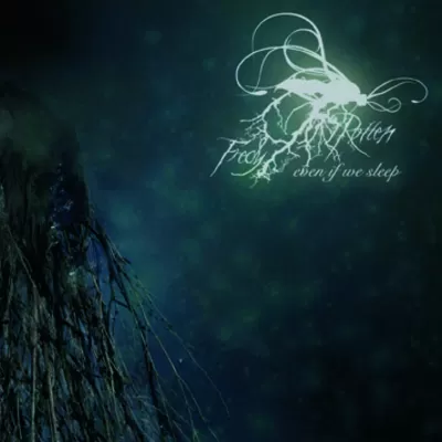 Fredy Rotten - Even if we sleep