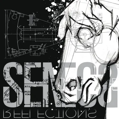 Seneca - Reflections