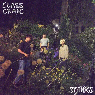 Stonks - Class Craic